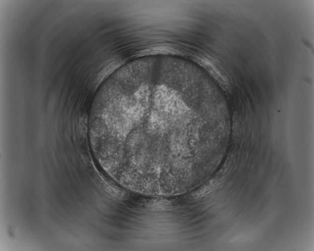 X0000097811233200804041329