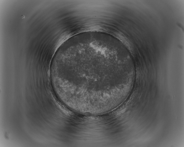 X0000097811234200804041329