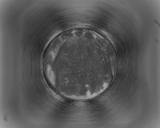 X0000097811235200804041329