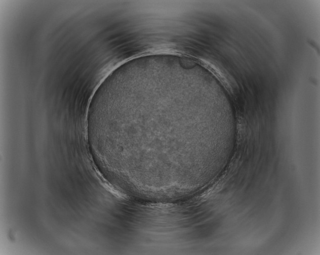 X0000097811236200804041329