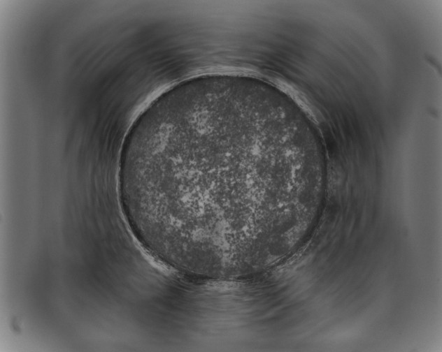 X0000097811237200804041329