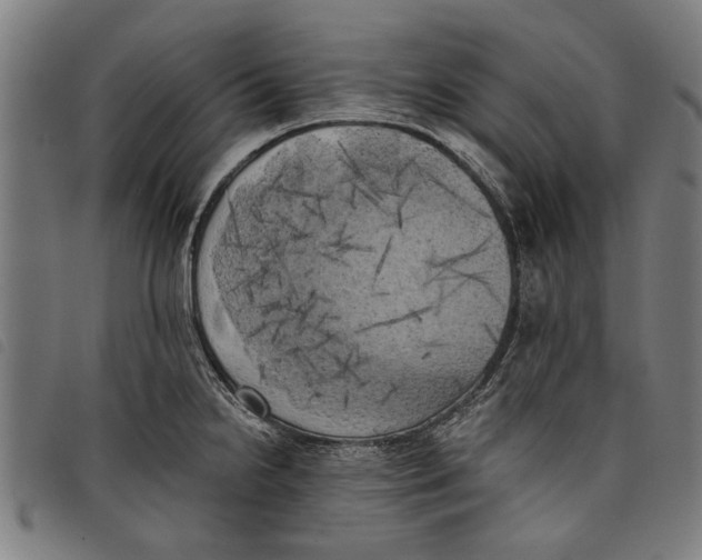 X0000097811238200804041329