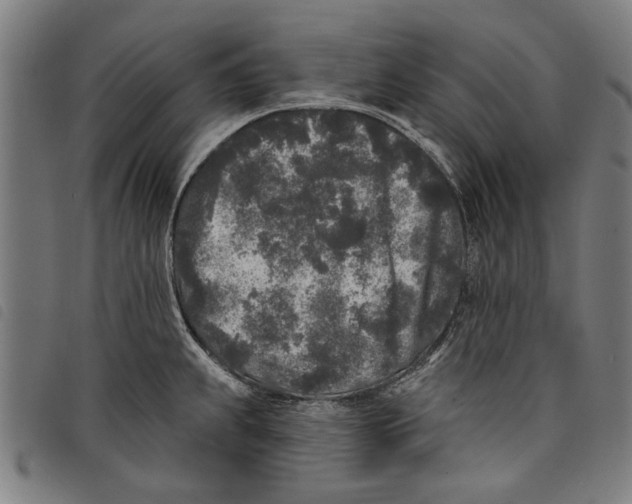 X0000097811239200804041329