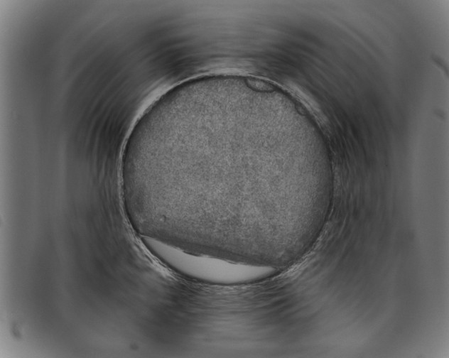 X0000097811240200804041329