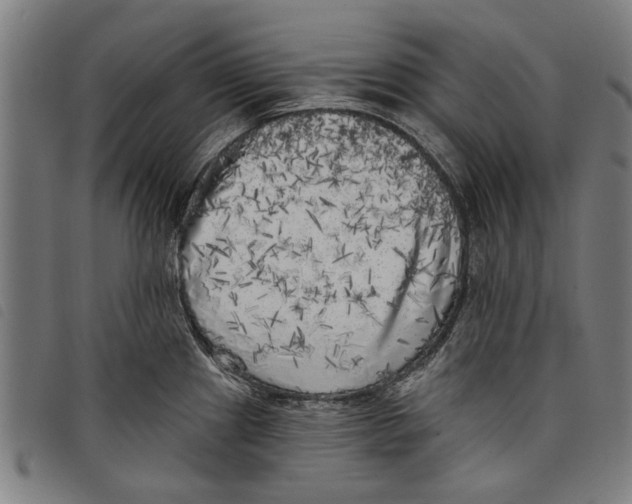 X0000097811241200804041329