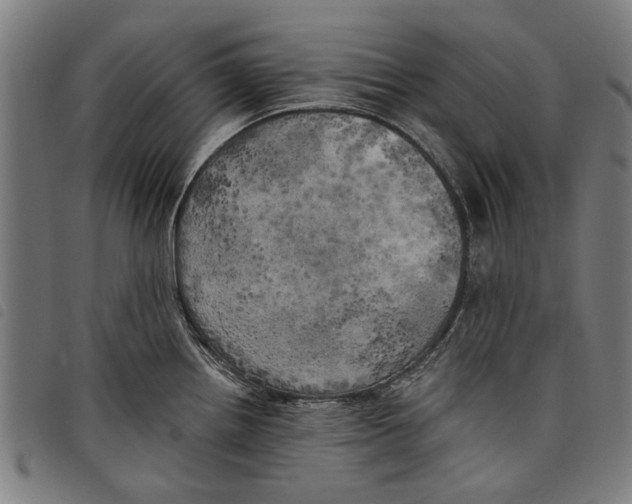 X0000097811242200804041329