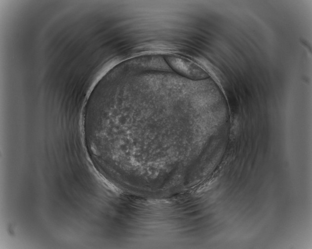 X0000097811243200804041329