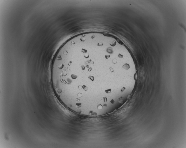 X0000097811246200804041329