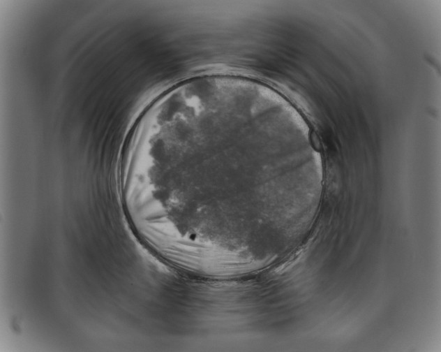 X0000097811247200804041329