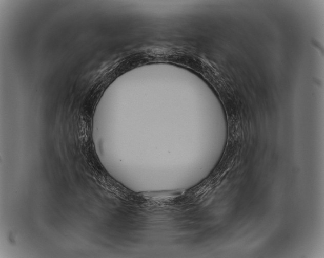 X0000097811253200804041329