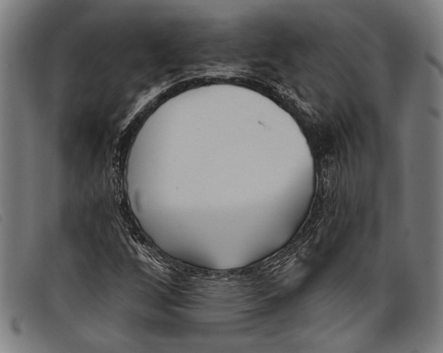 X0000097811256200804041329