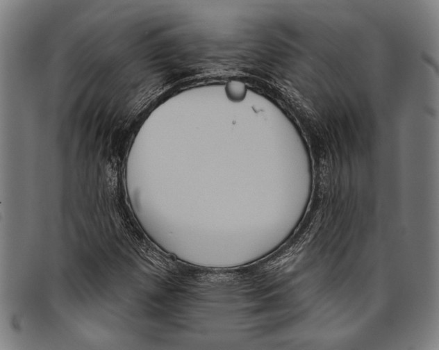 X0000097811257200804041329