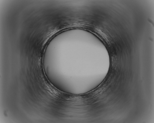 X0000097811260200804041329