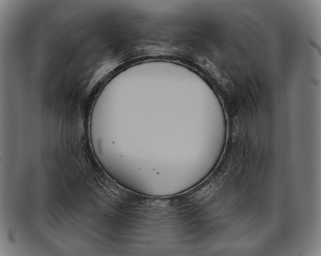 X0000097811261200804041329