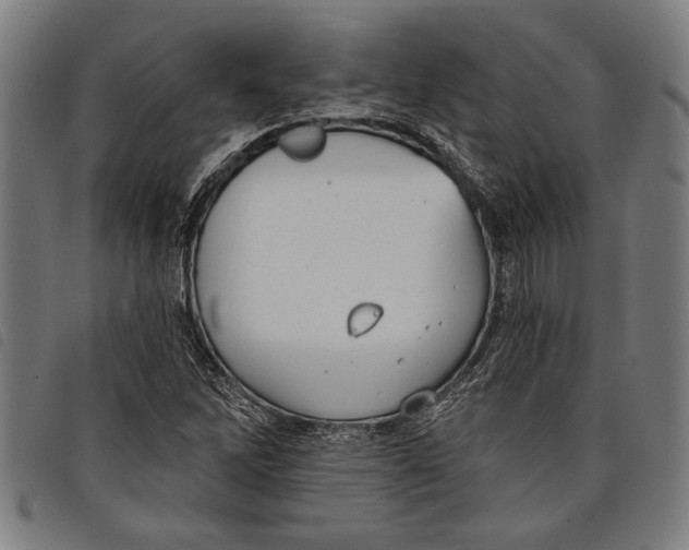 X0000097811262200804041329