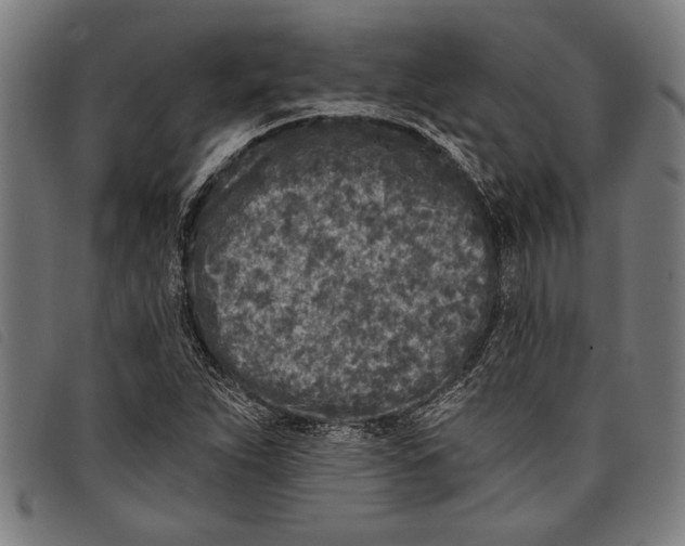 X0000097811263200804041329