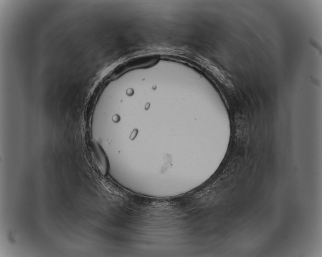 X0000097811264200804041328