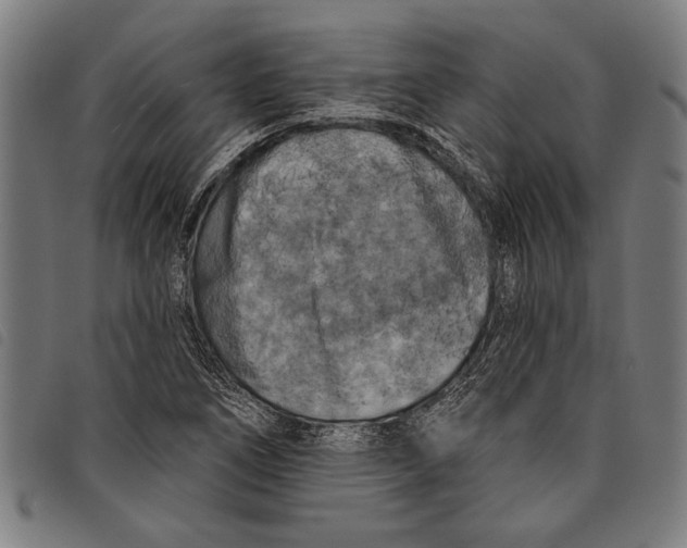 X0000097811266200804041328