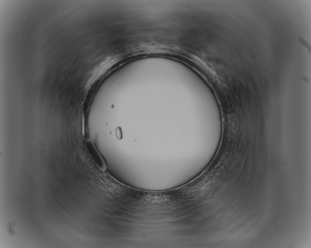 X0000097811269200804041328