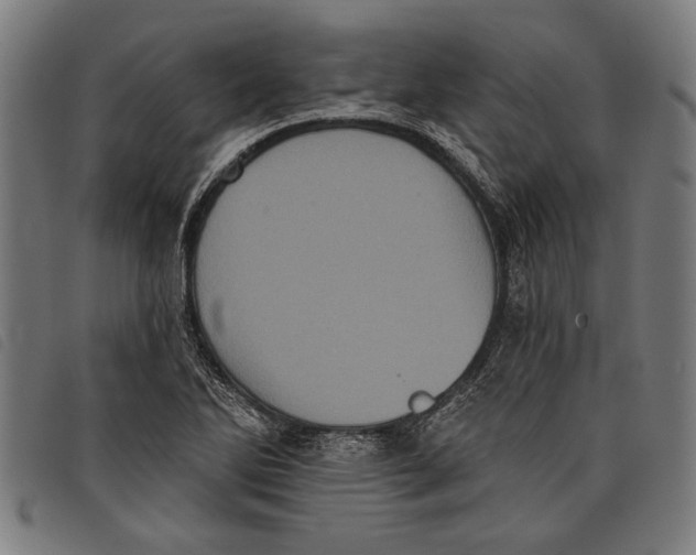 X0000097811270200804041328