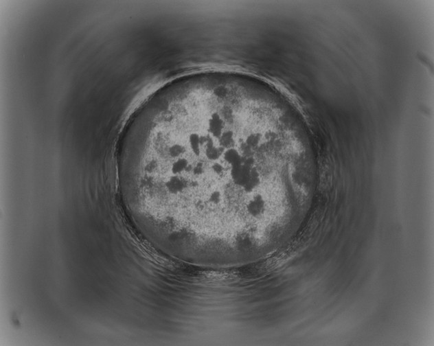 X0000097811271200804041328