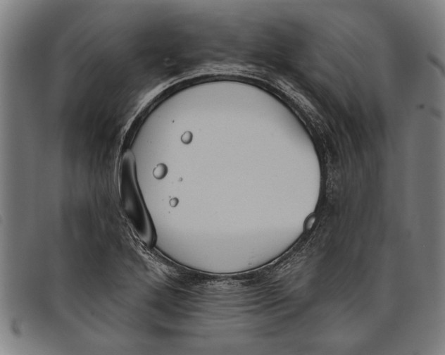 X0000097811272200804041328