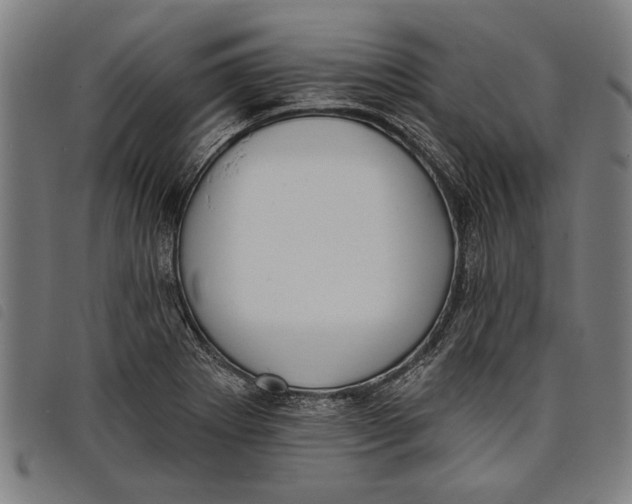 X0000097811273200804041328