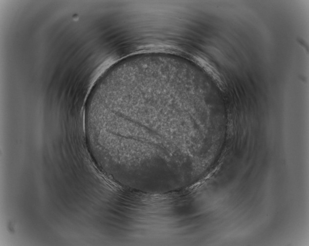 X0000097811275200804041328