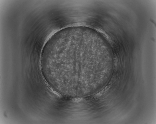 X0000097811278200804041328