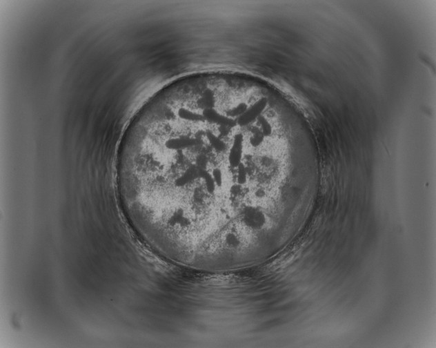 X0000097811279200804041328