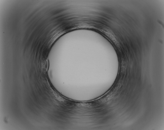 X0000097811281200804041328