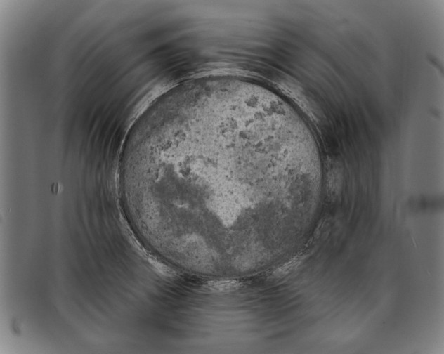 X0000097811282200804041328