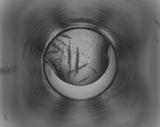 X0000097811283200804041328