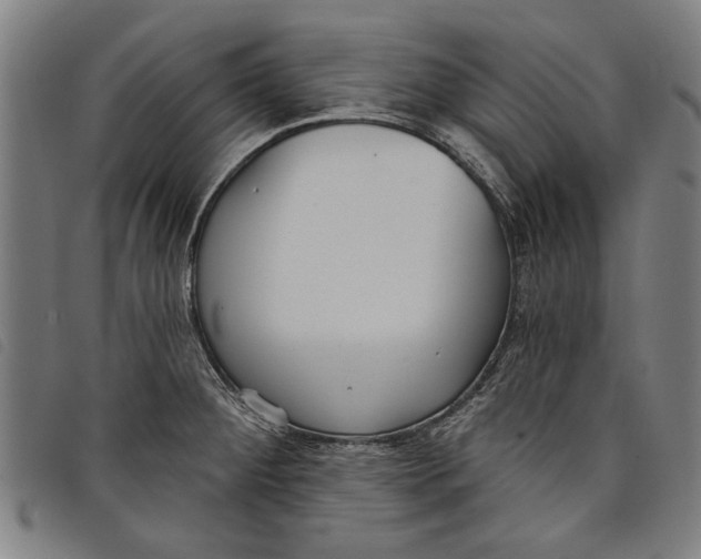 X0000097811284200804041328