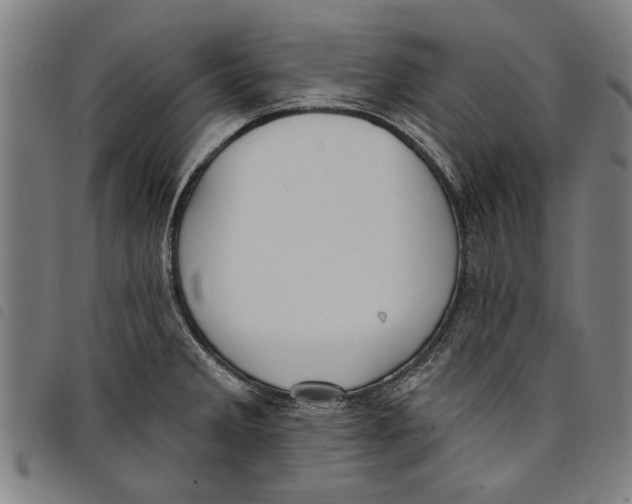 X0000097811285200804041328