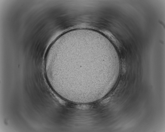 X0000097811286200804041328