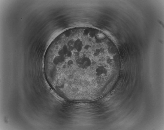 X0000097811287200804041328