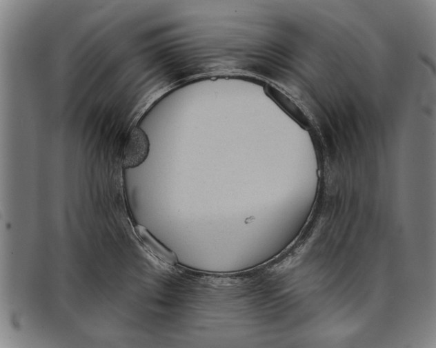 X0000097811289200804041328