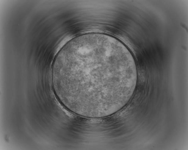 X0000097811290200804041328