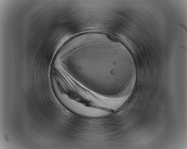 X0000097811291200804041328