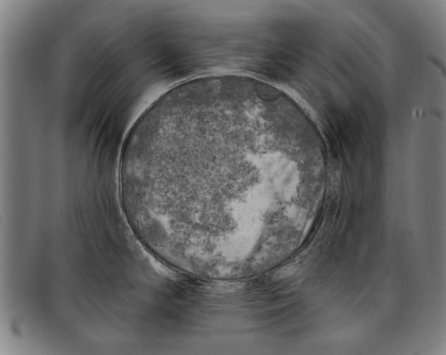 X0000097811294200804041328