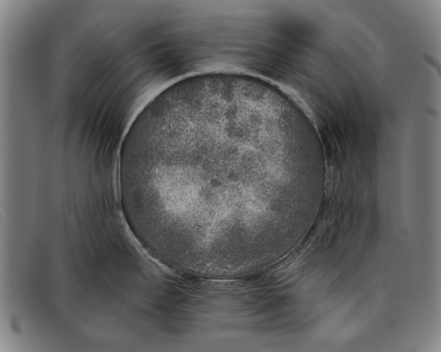 X0000097811295200804041328