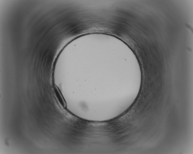 X0000097811296200804041328