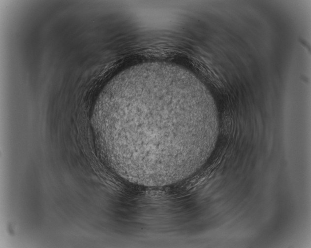 X0000097811297200804041327