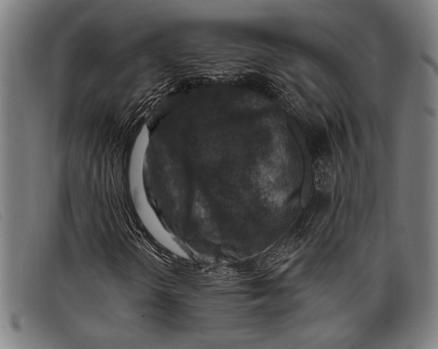 X0000097811298200804041327