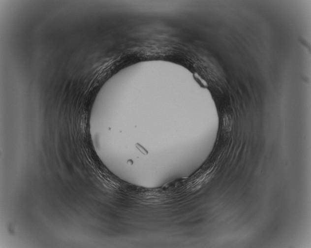 X0000097811300200804041327