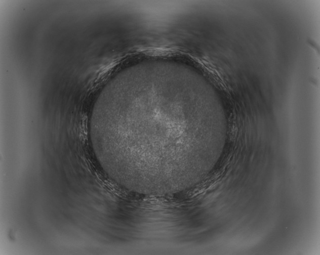 X0000097811301200804041327