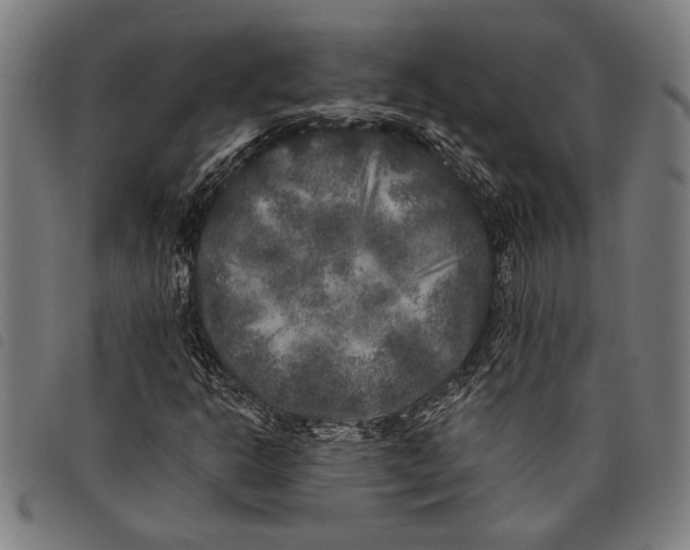 X0000097811302200804041327