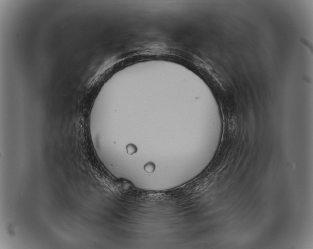 X0000097811304200804041327