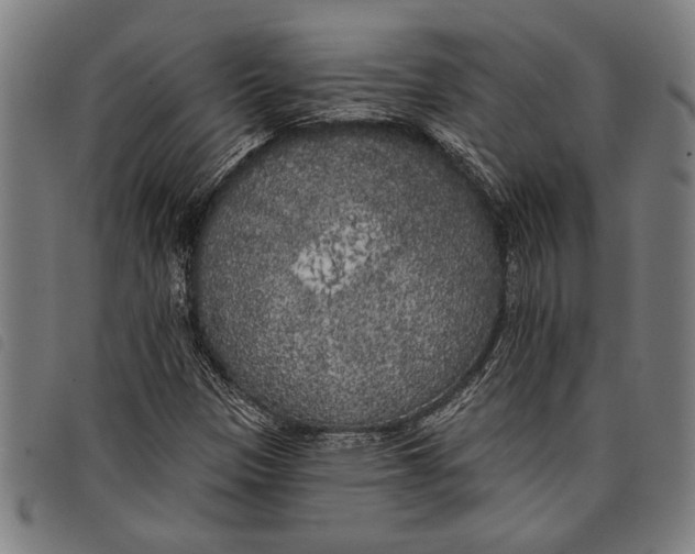 X0000097811305200804041327